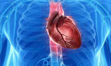 Ürək xərçənginin əlamətləri BUNLARDIR - Onkoloq açıqladı