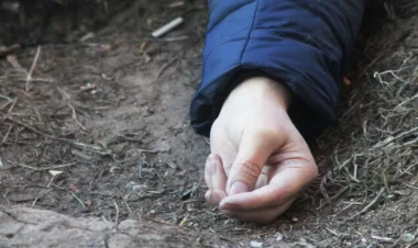 Rəşadı vergi borcunu xəbər etdiyi üçün öldürüblərmiş...