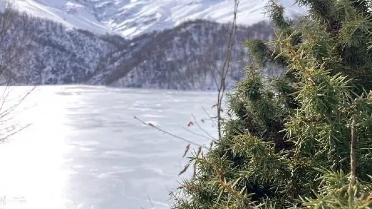 Donmuş Maralgölün yeni görüntüləri - VİDEO