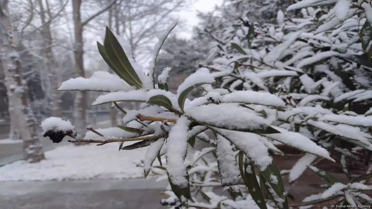 Bu ərazilərə qar yağdı - FAKTİKİ HAVA