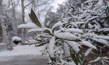 Bu ərazilərə qar yağdı - FAKTİKİ HAVA