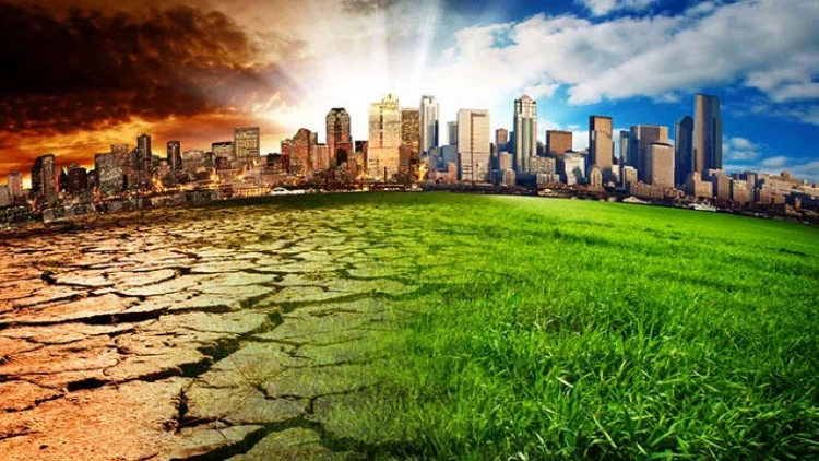 COP29: İqlim dəyişikliyi ilə mübarizədə Azərbaycan modeli