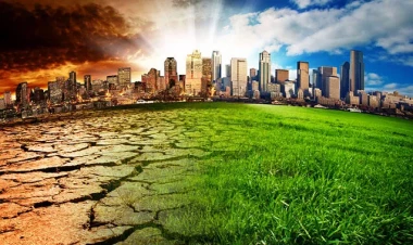 COP29: İqlim dəyişikliyi ilə mübarizədə Azərbaycan modeli