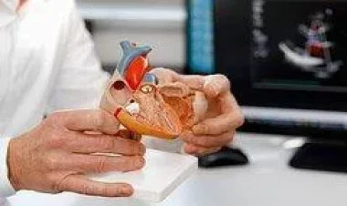 Həkim ürəklə bağlı məşhur mifi təkzib etdi