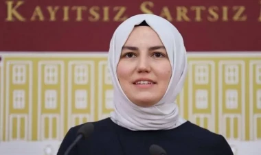 Türkiyə nümayəndə heyətinin üzvü: 