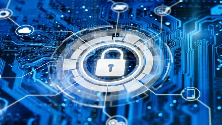 MSK prezident seçkiləri ilə əlaqədar IT mütəxxəsisləri üçün seminarlara başladı