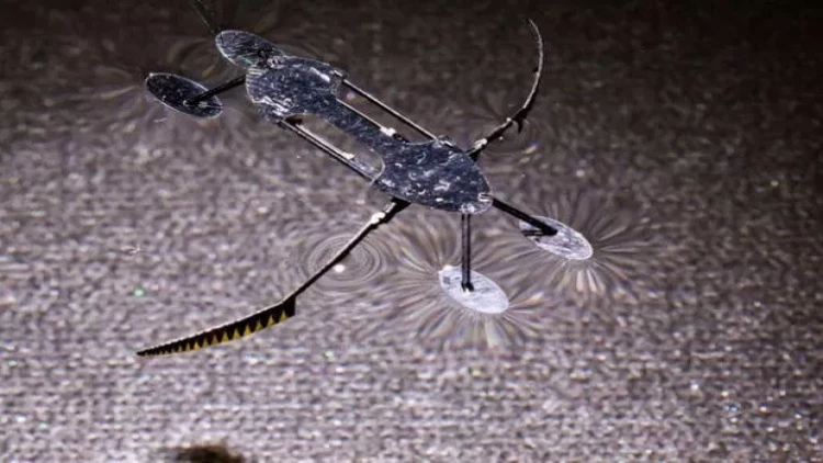 Dünyanın ən sürətli və ən kiçik robotu: Bu sahələrdə faydalı olacaq - FOTO