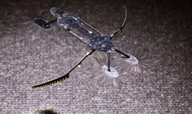 Dünyanın ən sürətli və ən kiçik robotu: Bu sahələrdə faydalı olacaq - FOTO