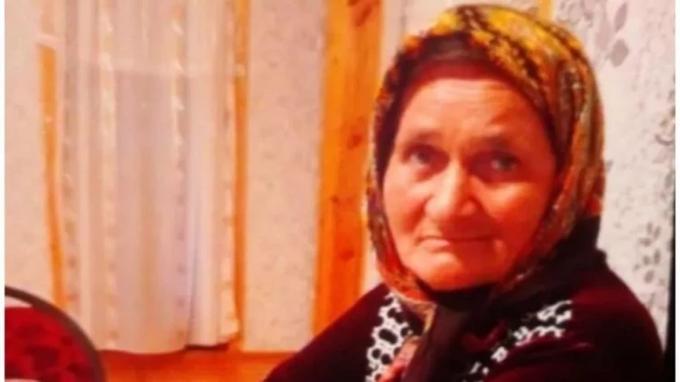 Polis hər yerdə bu qadını axtarır - FOTO