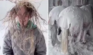 Filmləri xatırladan bu görüntü gerçəkdir - ABŞ-də qar həyatı belə iflic etdi - VİDEO - FOTO