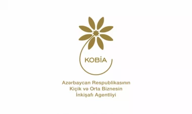 KOBİA yanında daimi fəaliyyət göstərəcək Koordinasiya Qrupu yaradılıb