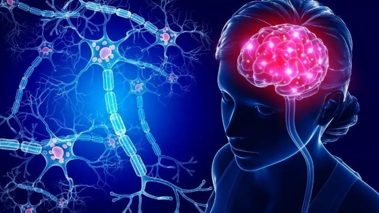 Alimlər beyni zəiflədən məşhur məhsuldan danışdılar