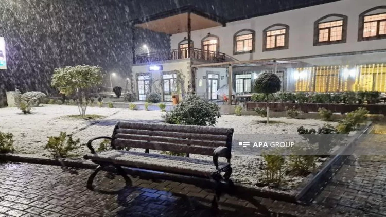 Zəngilanın əksər yerləri ağ örpəyə bürünüb - FOTOlar