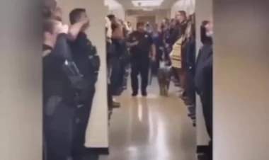 Polis xidməti iti təqaüdə belə yola saldı - VİDEO