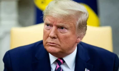 Trampa məhkəmədə çıxışı qadağan olundu