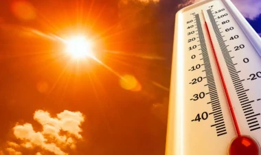 2024 tarixin ən isti ili ola bilər