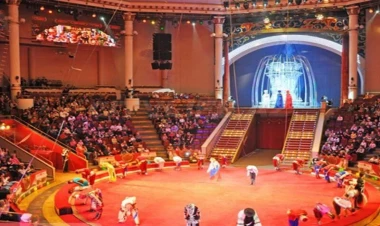 Bakı Dövlət Sirkinin fəaliyyəti dayandırıldı