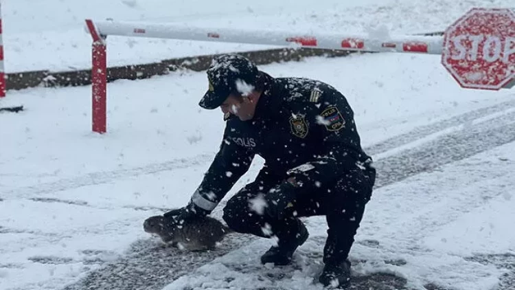 Xankəndi hazırda - VİDEO