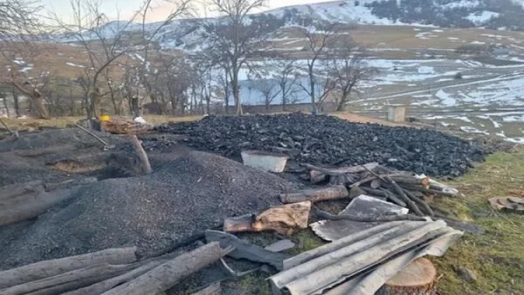 Daşkəsəndə kömür istehsalının qarşısı alındı