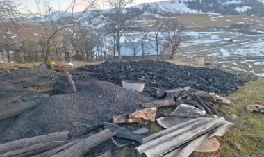 Daşkəsəndə kömür istehsalının qarşısı alındı