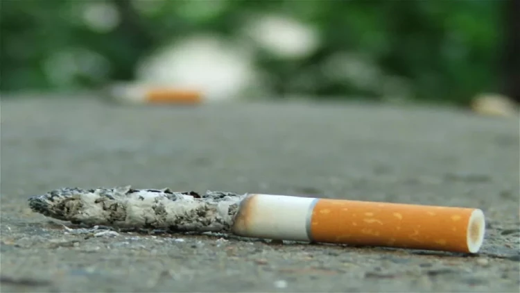 Siqaret kötüklərindən yol çəkəcəklər