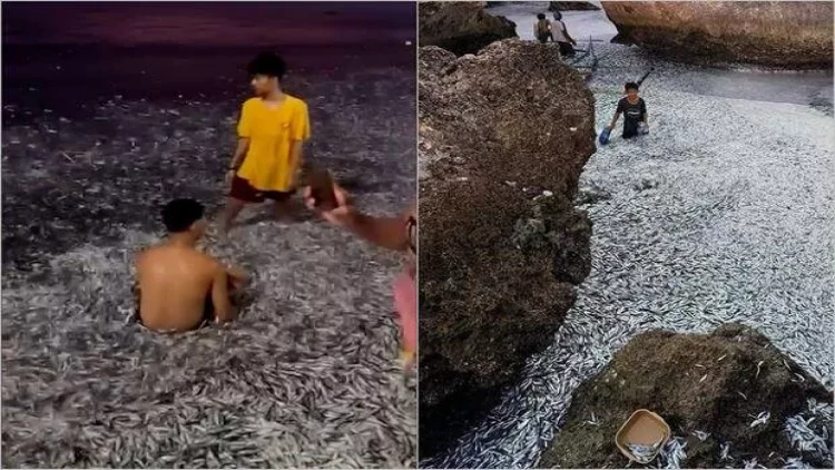 Səhəri okeanın gözlənilməz “hədiyyəsi” ilə açdılar: Maraqlı FOTOlar