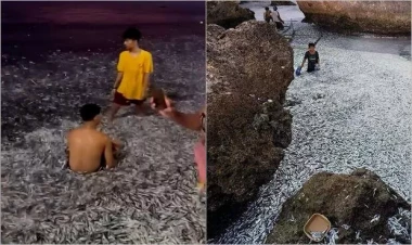 Səhəri okeanın gözlənilməz “hədiyyəsi” ilə açdılar: Maraqlı FOTOlar