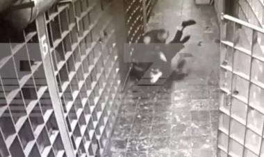 Boksçu yeni ilə görə polisi döyüb həbsxanadan qaçdı -