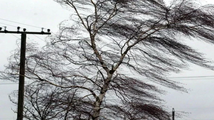 Bakıda külək avtomobilləri yararsız hala saldı - VİDEO