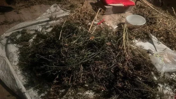 Külli miqdarda narkotik aşkarlandı - FOTO
