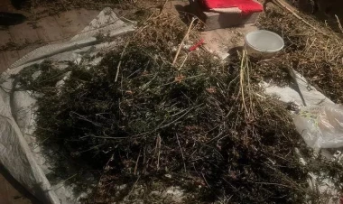 Külli miqdarda narkotik aşkarlandı - FOTO