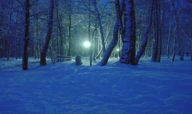 “Müştərək gecələr” nəzəriyyəsi nə deməkdir?