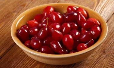 Tibb dünyası ŞOKDA - Xərçəng hüceyrələrini 4 saatda məhv edir