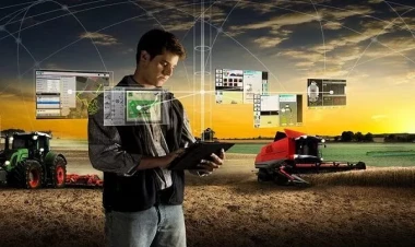 İqtisadçının şok 2024 proqnozu: İnsanlar bankrot olacaq...