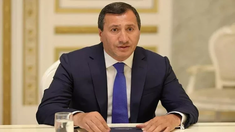 Çantasından güllələr tapılan partiya sədri azadlığa buraxılıb