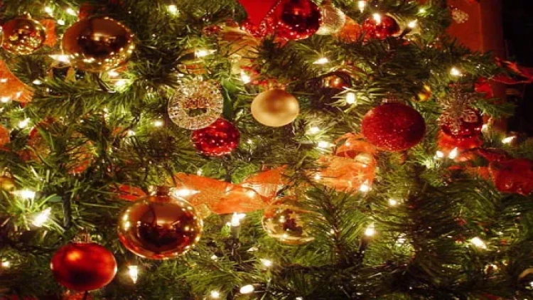 FHN əhaliyə təkrar müraciət etdi - 