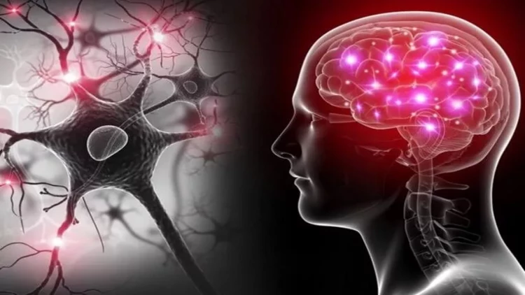 2 dollarlıq “var-dövlət”imiz – Özümüz haqda nələri bilmirik?