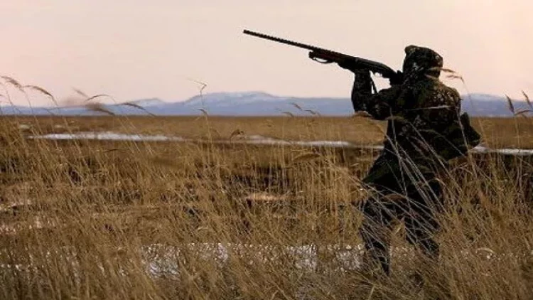 Ovçuluqla bağlı qaydalar dəyişdi