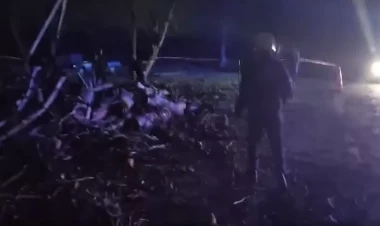 Güclü külək çinar ağacını magistral yola aşırıb - VİDEO