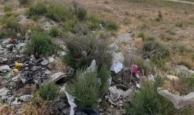 Ətrafı zibilləyən şəxs barədə protokol tərtib edildi