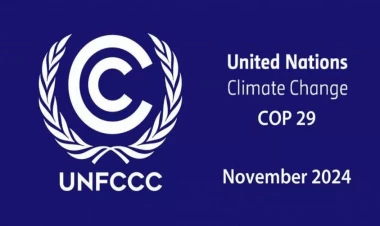 COP29-un Azərbaycanda keçirilməsinin əhəmiyyəti nədir?