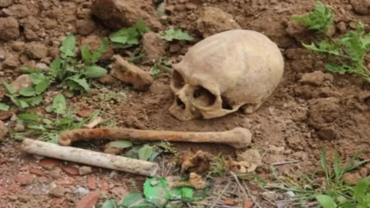 Hacıqabulda insan sümükləri tapılıb