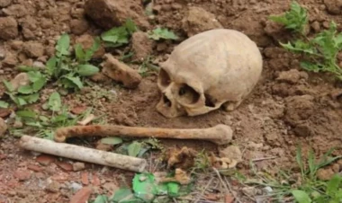 Hacıqabulda insan sümükləri tapılıb