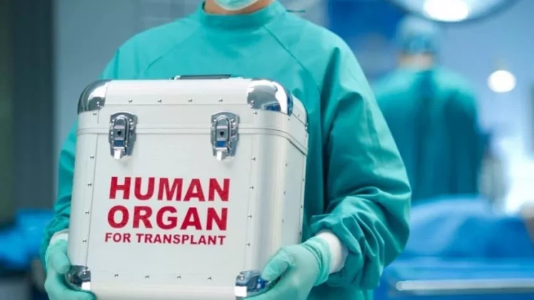 Qanunsuz böyrək bazarı: insan öz orqanını sata bilərmi?
