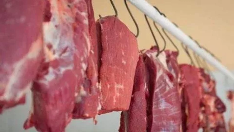 Bakıda mağazadan 4800 manatlıq ət oğurladılar