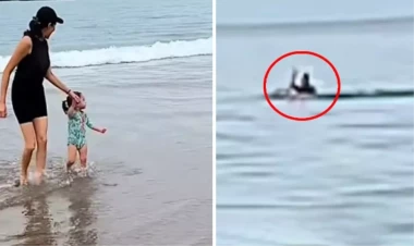 Dənizdə çəkdikləri videonu izləyəndə şoka düşdülər - Elə bir şey lentə alıblar ki... - VİDEO - FOTO
