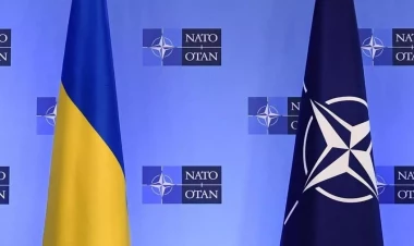 Ukrayna və NATO ortaq silah istehsalına başladı