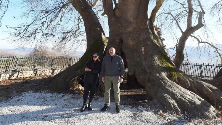 İlham Əliyev və Mehriban Əliyeva “Çinar müqəddəs yer” abidə kompleksinə baxış keçiriblər - VİDEO - FOTO