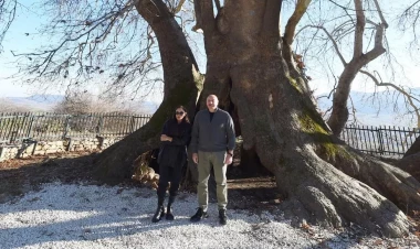 İlham Əliyev və Mehriban Əliyeva “Çinar müqəddəs yer” abidə kompleksinə baxış keçiriblər - VİDEO - FOTO