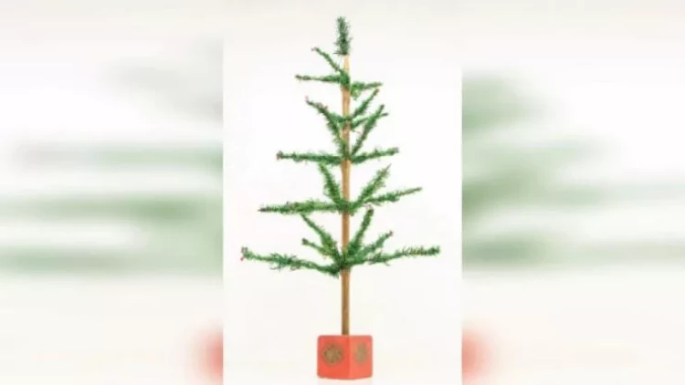 Qəpiklərlə alınan dünyanın ən maraqlı YOLKASI - 4 min dollara satıldı - FOTOlar